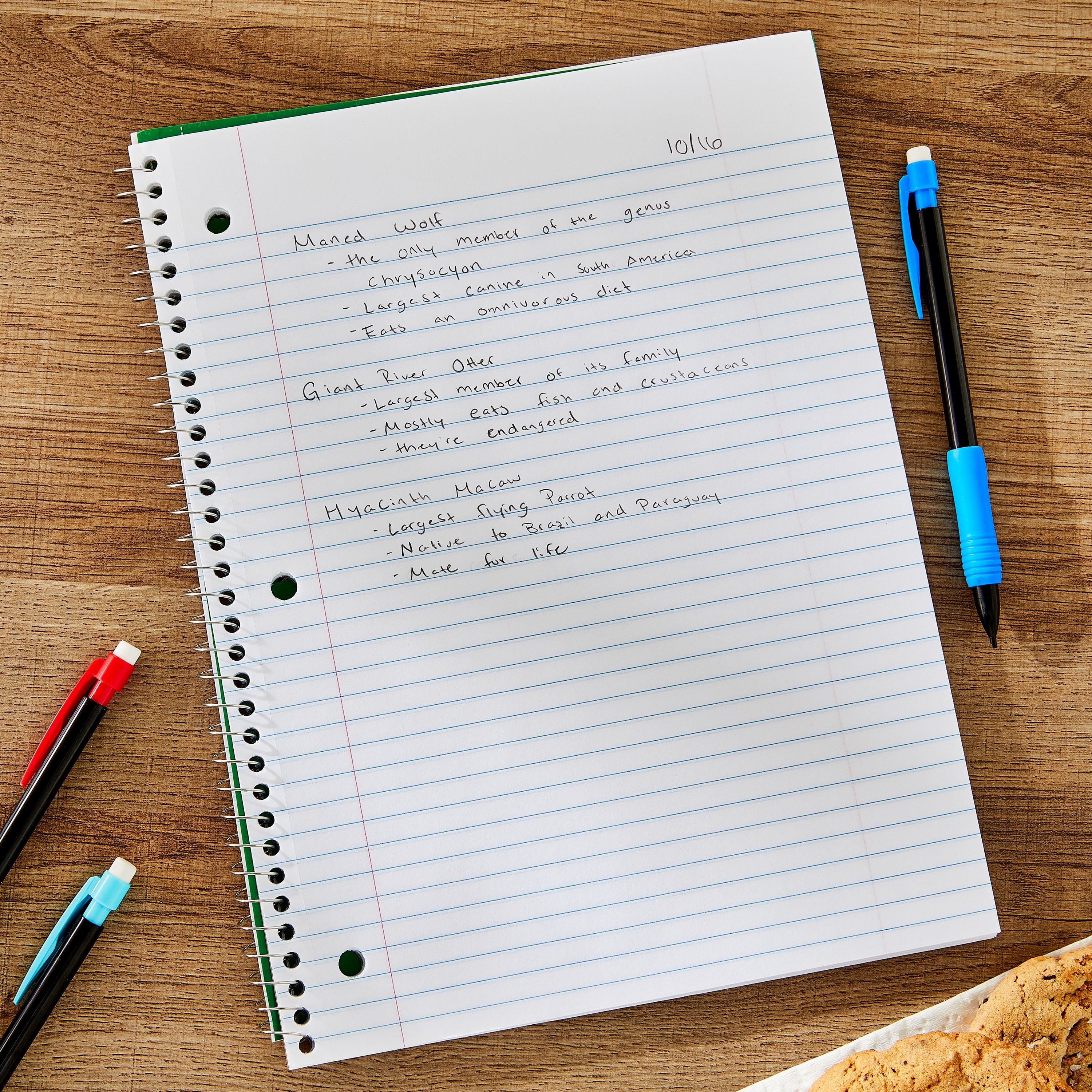 Pen+Gear College Ruled 1-Subject Notebook, 8" x 10.5", Green, 70 Sheets