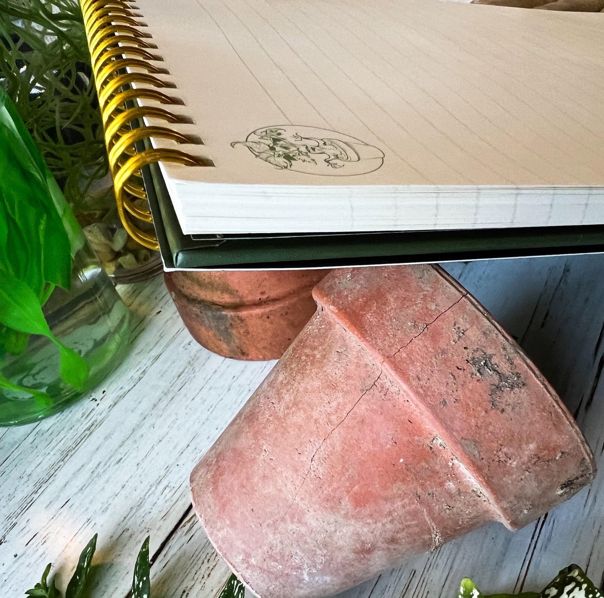 Conquest Journals Harry Potter Herbology Top-Spiral Steno Notepad